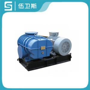 羅茨鼓風(fēng)機