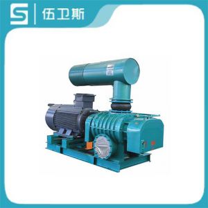 高壓羅茨鼓風(fēng)機